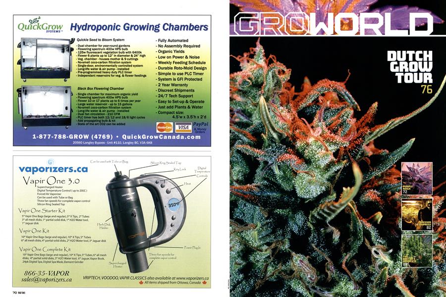 PIX OF THE CROP