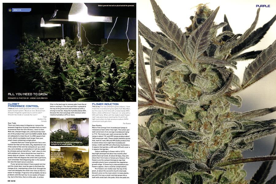 ALL YOU NEED TO GROW