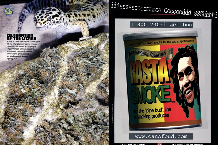 CELEBRATION OF THE LIZARD