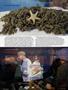 Page: - 49 | High Times