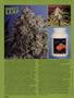 Page: - 58 | High Times