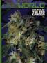 Page: - 71 | High Times