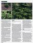 Page: - 90 | High Times