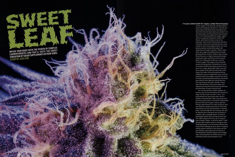 SWEET LEAF
