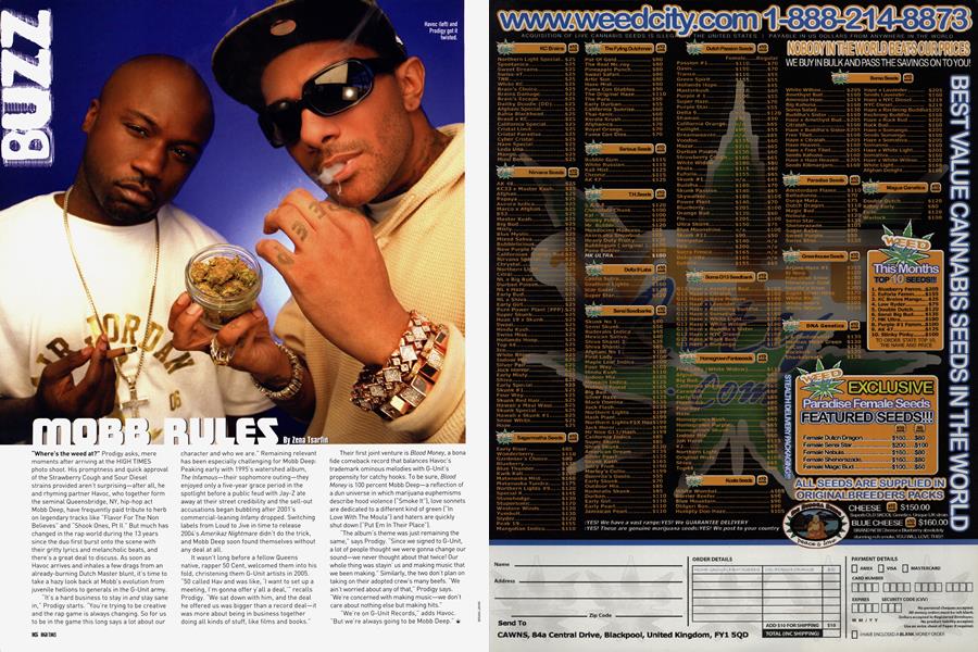 MOBB RULES