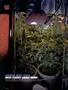 Page: - 110 | High Times