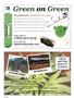 Page: - 46 | High Times