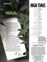 Page: - 6 | High Times