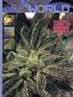 Page: - 77 | High Times