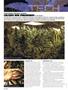 Page: - 90 | High Times