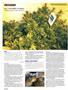 Page: - 94 | High Times