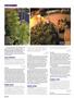 Page: - 96 | High Times