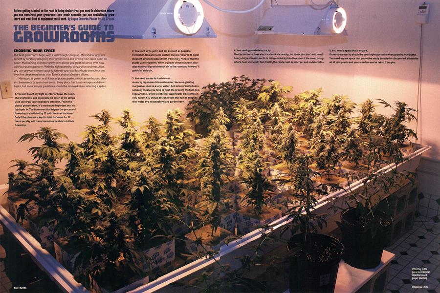 THE BEGINNER'S GUIDE TO GROWROOMS