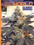 Page: - 71 | High Times