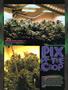 Page: - 72 | High Times