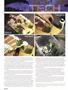 Page: - 82 | High Times