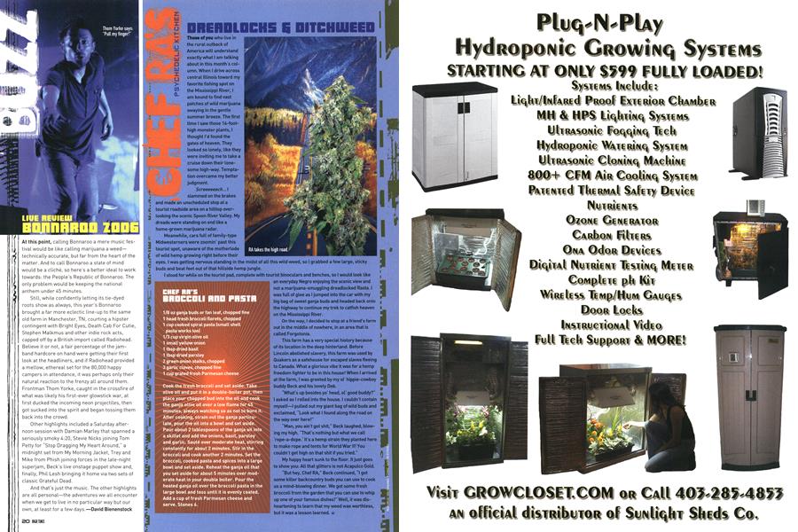 LIVE REVIEW BONNAROO 2006