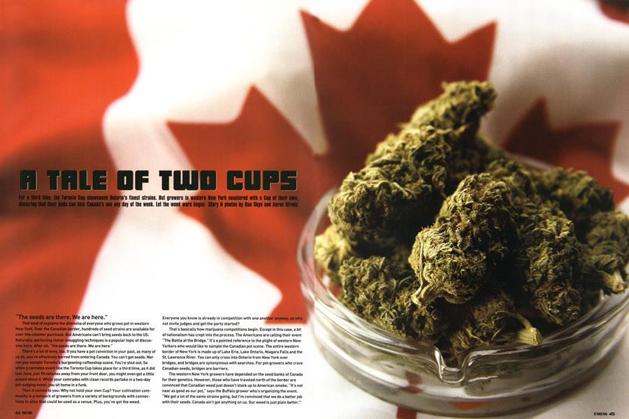 A TABLE OF TWO CUPS