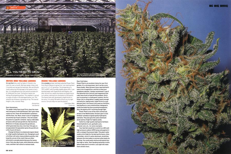 ALL YOU NEED TO GROW