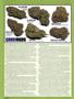 Page: - 40 | High Times
