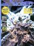 Page: - 71 | High Times