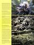 Page: - 77 | High Times