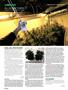 Page: - 88 | High Times