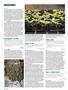 Page: - 90 | High Times