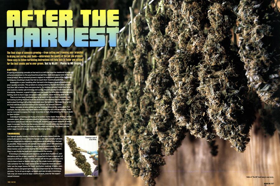 AFTER THE HARVEST