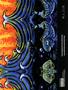 Page: - 5 | High Times