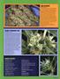 Page: - 55 | High Times