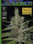 Page: - 71 | High Times