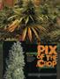Page: - 72 | High Times