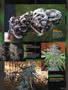 Page: - 73 | High Times