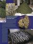 Page: - 81 | High Times