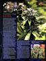 Page: - 55 | High Times