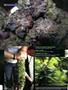 Page: - 72 | High Times