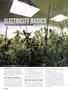 Page: - 76 | High Times