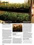Page: - 88 | High Times