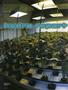 Page: - 48 | High Times