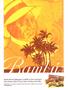Page: - 9 | High Times