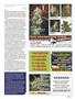 Page: - 101 | High Times