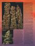 Page: - 68 | High Times