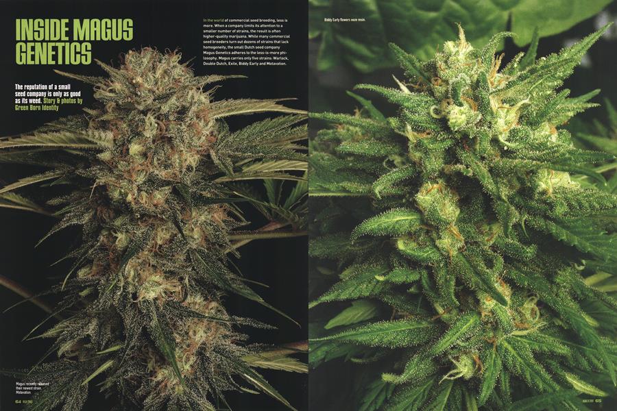 INSIDE MAGUS GENETICS