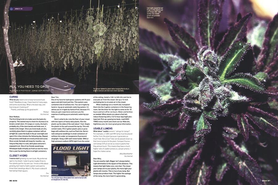 ALL YOU NEED TO GROW