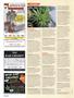 Page: - 100 | High Times