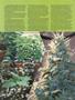 Page: - 49 | High Times