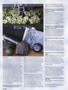 Page: - 60 | High Times