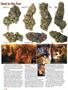 Page: - 74 | High Times