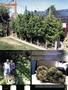 Page: - 80 | High Times